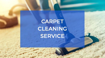 Carpet Cleaning service