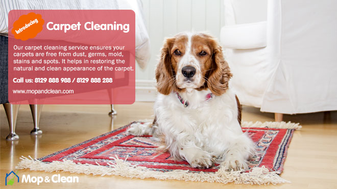 Carpet Cleaning Service Cochin