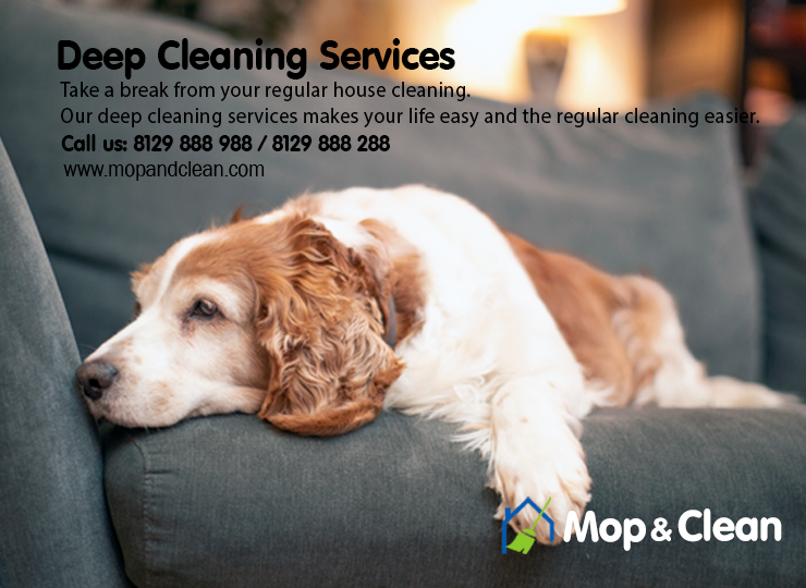 Deep Cleaning Service in Cochin
