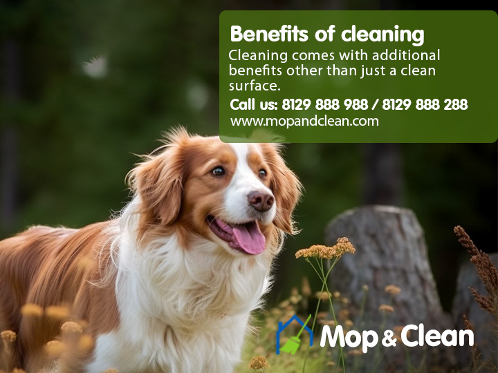 Benefits of cleaning